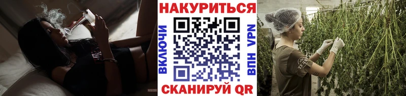Канабис план  Новомичуринск 